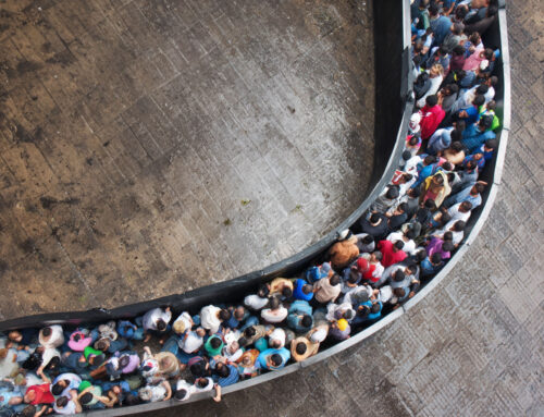 My Christmas Message:  Cattle Are Led to Slaughter